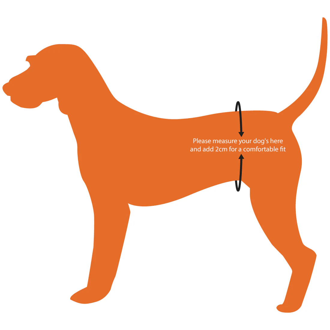 Furzone Extra Large Washable Male Dog Wrap <br>Suitable for waistline 51-58cm <br>Aqua - Image 5