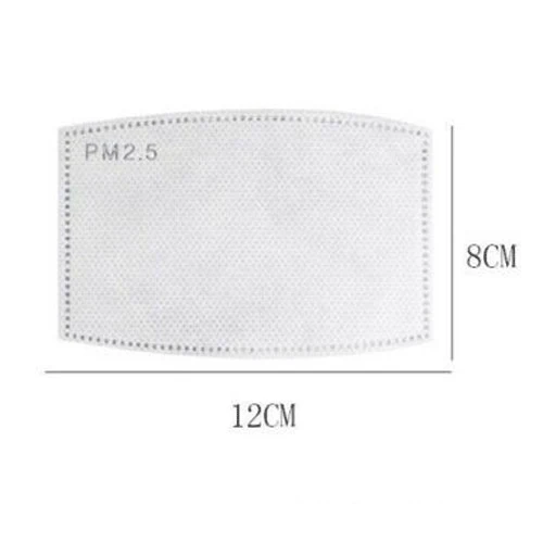 PM2.5 Activated Carbon Replacement <br>5 Layer Filter <br>Set of 10 - Image 2